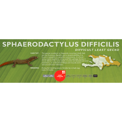 Difficult Least Gecko (Sphaerodactylus difficilis) Standard Vivarium Label