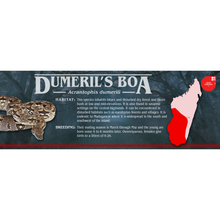 Load image into Gallery viewer, Stranger Species Special Edition Halloween Vivarium Label