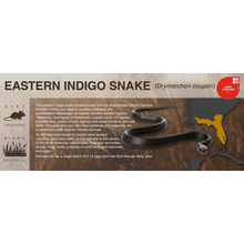 Load image into Gallery viewer, Eastern Indigo Snake (Drymarchon couperi) - Black Series Vivarium Label