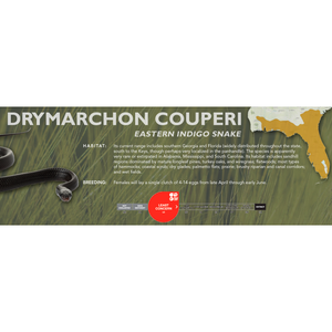 Eastern Indigo Snake (Drymarchon couperi) Standard Vivarium Label