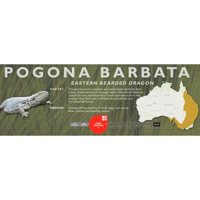 Eastern Bearded Dragon (Pogona barbata) Standard Vivarium Label