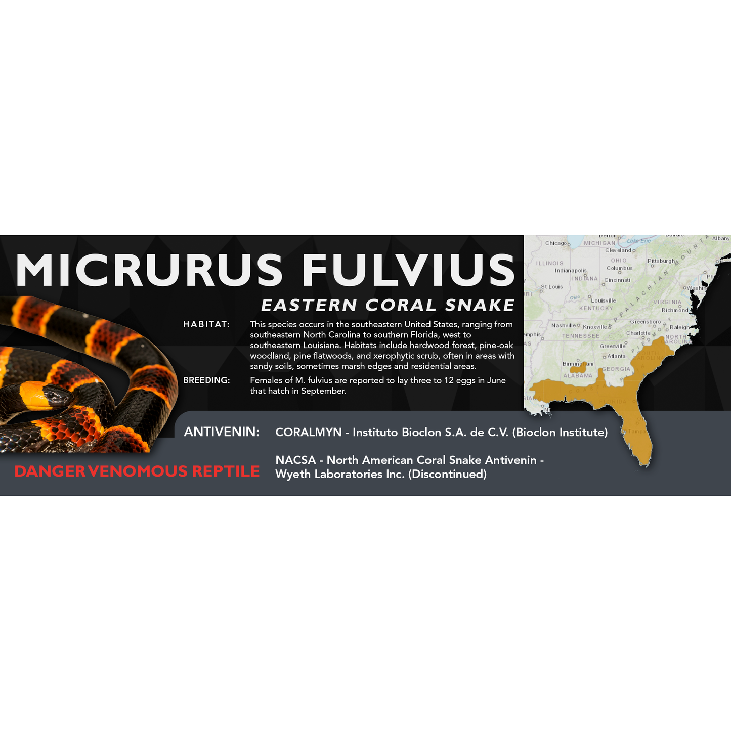 Eastern Coral Snake (Micrurus fulvius) Classic Vivarium Label