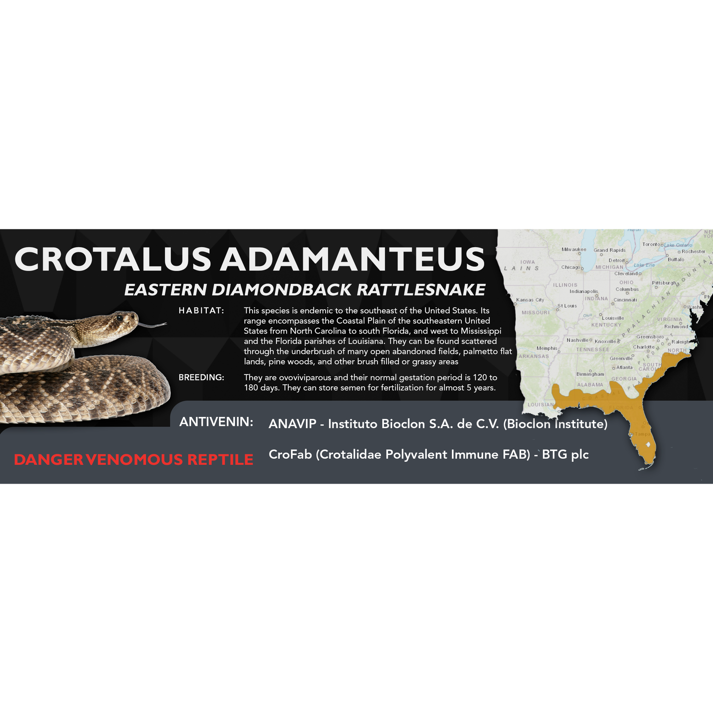 Eastern Diamondback Rattlesnake (Crotalus adamanteus) Standard Vivarium Label