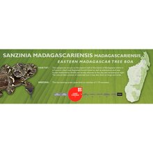 Load image into Gallery viewer, Madagascar Tree Boa (Sanzinia madagascariensis) Standard Vivarium Label
