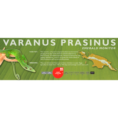Emerald Monitor (Varanus prasinus) Standard Vivarium Label