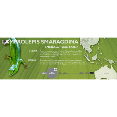 Emerald Tree Skink (Lamprolepis smaragdina) Standard Vivarium Label