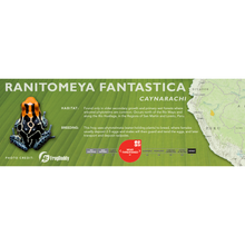 Load image into Gallery viewer, Ranitomeya fantastica - Standard Vivarium Label