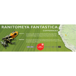 Ranitomeya fantastica - Standard Vivarium Label