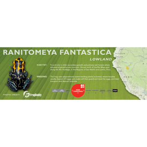 Ranitomeya fantastica - Standard Vivarium Label