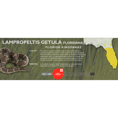 Florida Kingsnake (Lampropeltis getula floridana) Standard Vivarium Label
