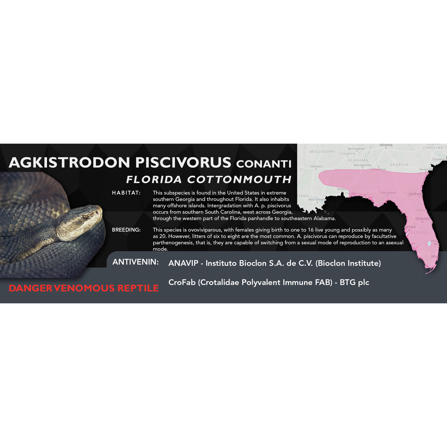 Cottonmouth (Agkistrodon piscivorus) Classic Vivarium Label
