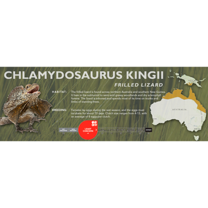 Frilled Lizard (Chlamydosaurus kingii) Standard Vivarium Label
