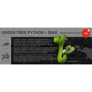Green Tree Python (Morelia azurea & Morelia viridis) - Black Series Vivarium Label