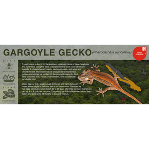 Gargoyle Gecko (Rhacodactylus auriculatus) - Black Series Vivarium Label