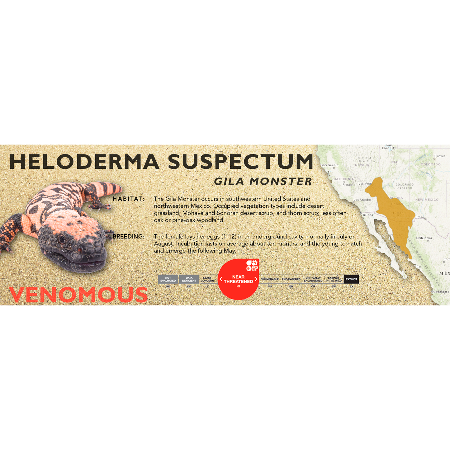 Gila Monster (Heloderma suspectum) Standard Vivarium Label