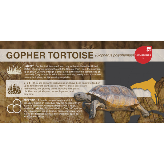 Gopher Tortoise (Gopherus polyphemus) - Aluminum Sign