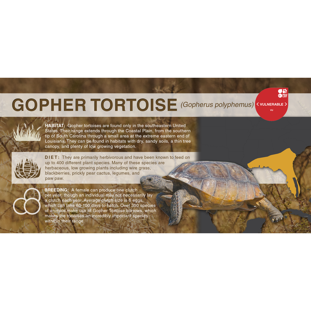 Gopher Tortoise (Gopherus polyphemus) - Aluminum Sign