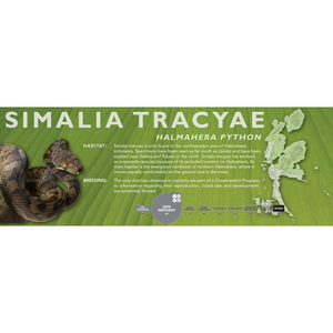 Halmahera Python (Simalia tracyae) Standard Vivarium Label