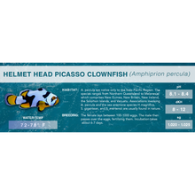 Load image into Gallery viewer, Orange Clownfish (Amphiprion percula) - Standard Aquarium Label