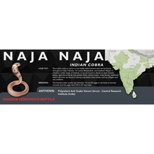 Load image into Gallery viewer, Indian Cobra (Naja naja) Standard Vivarium Label