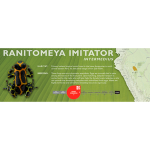 Ranitomeya imitator - Standard Vivarium Label
