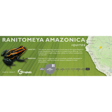 Load image into Gallery viewer, Ranitomeya amazonica - Standard Vivarium Label