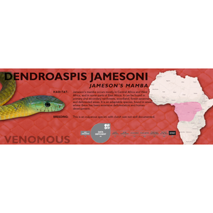 Jameson's Mamba (Dendroaspis jamesoni) Standard Vivarium Label