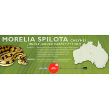 Load image into Gallery viewer, Carpet Python (Morelia spilota) Standard Vivarium Label