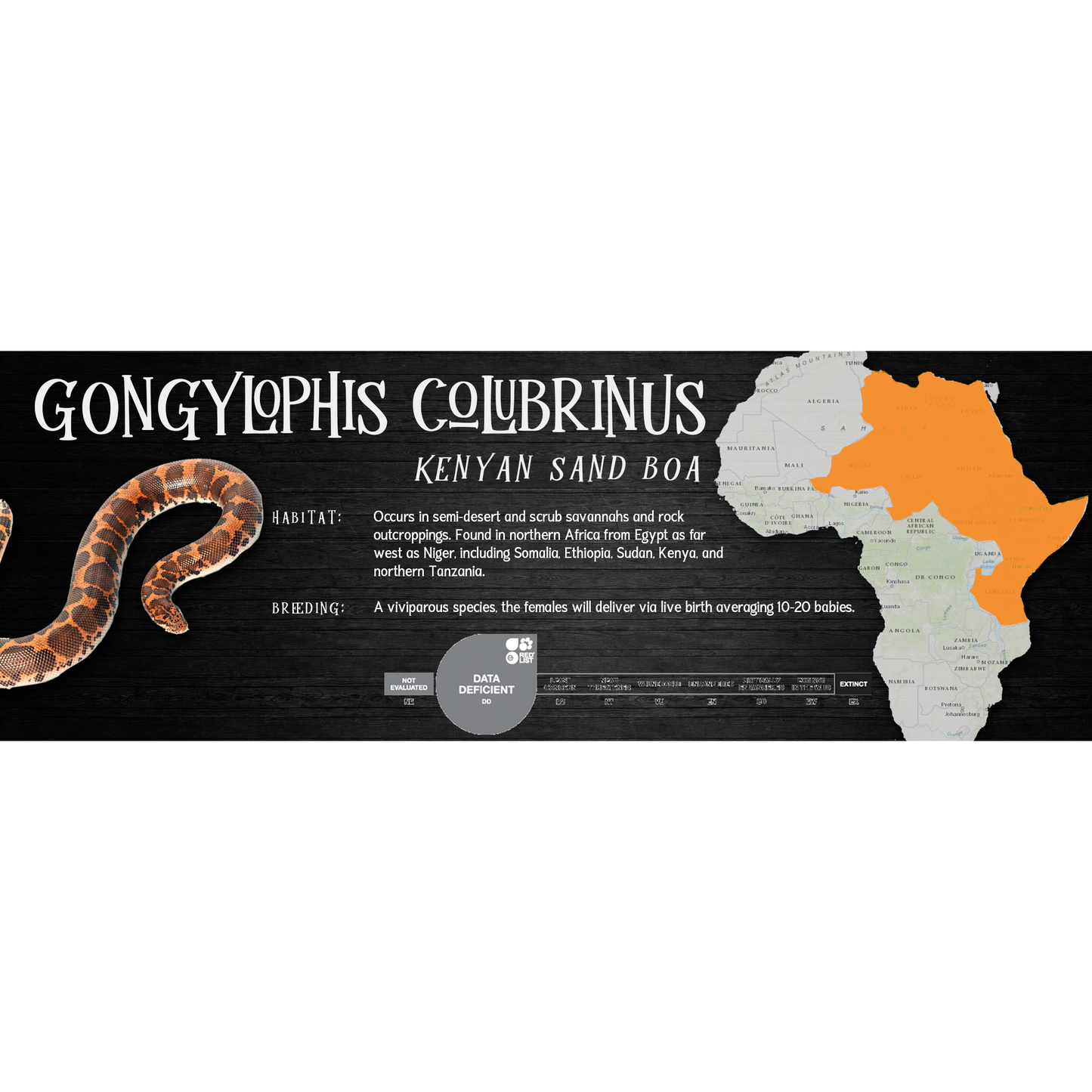 Special Edition Halloween Vivarium Label