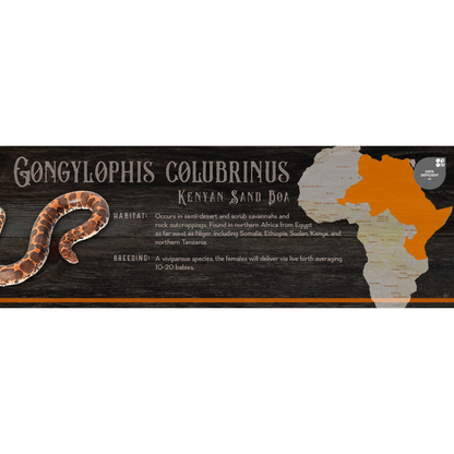 Special Edition Halloween Vivarium Label