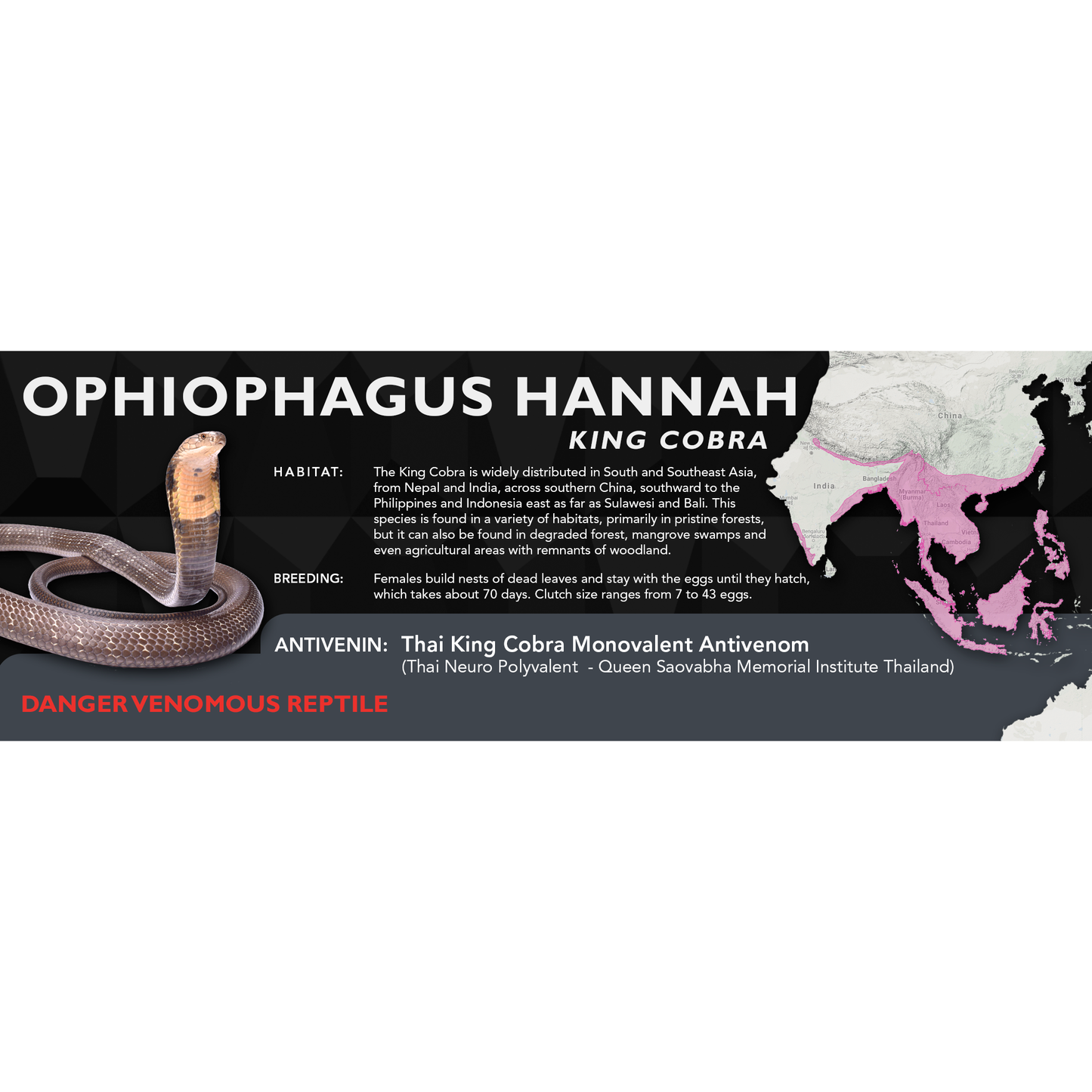 King Cobra (Ophiophagus hannah) Standard Vivarium Label