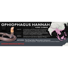 Load image into Gallery viewer, King Cobra (Ophiophagus hannah) Standard Vivarium Label