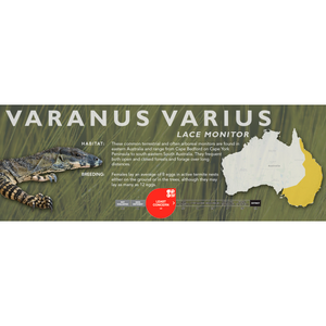 Lace Monitor (Varanus varius) Standard Vivarium Label