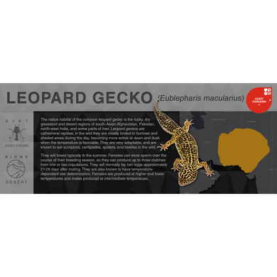 Leopard Gecko (Eublepharis macularius) - Black Series Vivarium Label