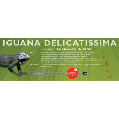 Lesser Antillean Iguana (Iguana delicatissima) Standard Vivarium Label