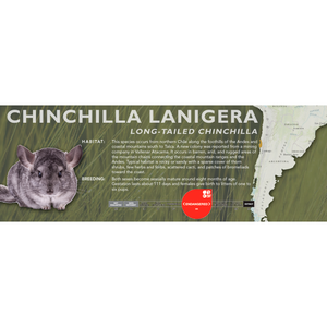 Long-Tailed Chinchilla (Chinchilla lanigera) - Standard Vivarium Label
