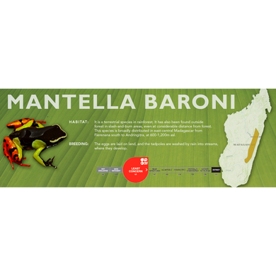 Mantella baroni - Standard Vivarium Label