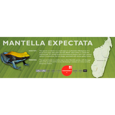 Mantella expectata - Standard Vivarium Label