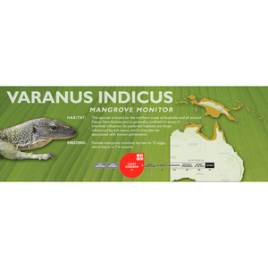 Mangrove Monitor (Varanus indicus) Standard Vivarium Label