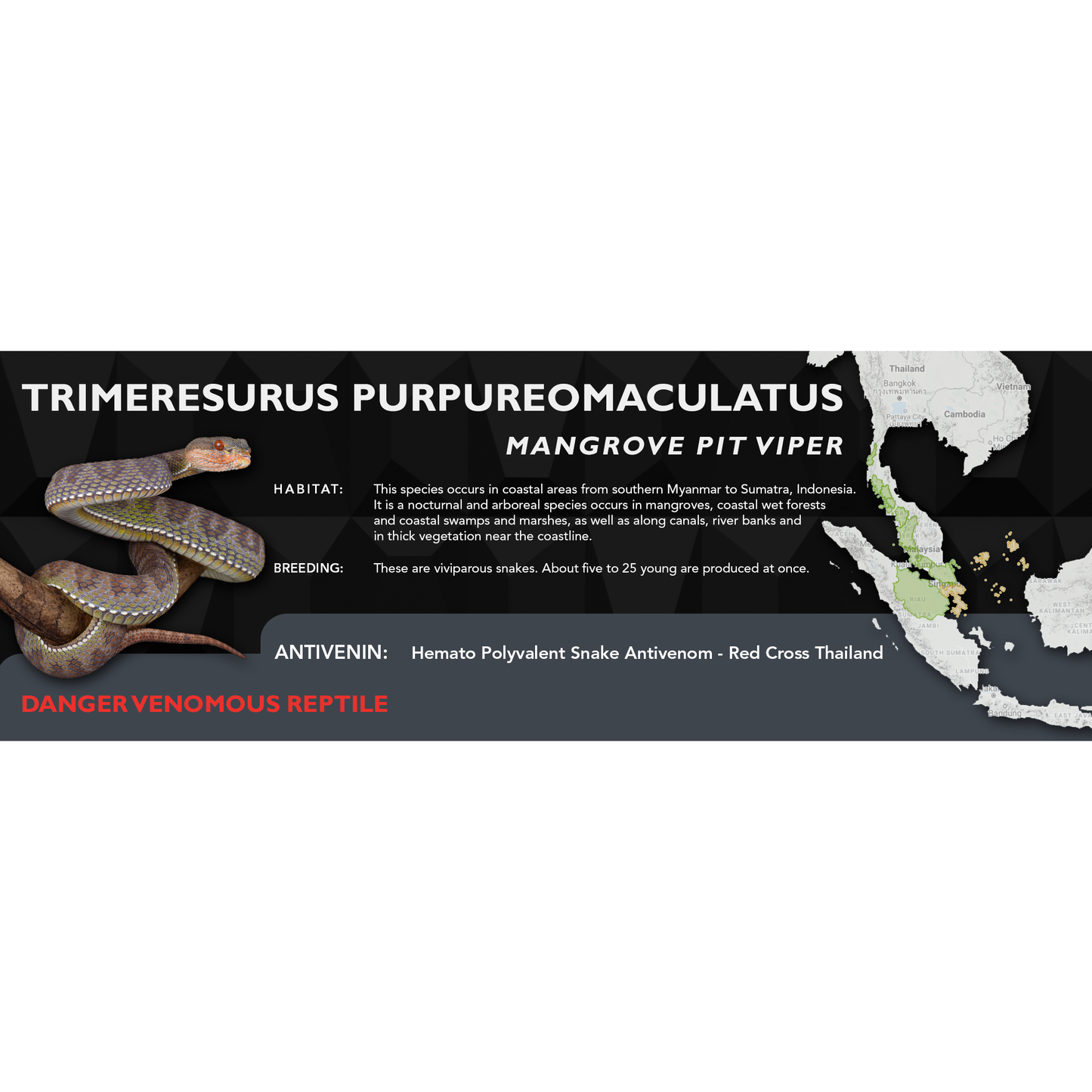 Mangrove Pit Viper (Trimeresurus purpureomaculatus) Classic Vivarium Label