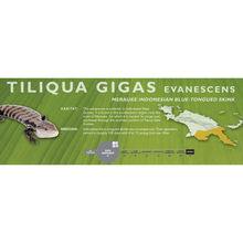 Load image into Gallery viewer, Indonesian Blue-Tongued Skink (Tiliqua gigas) Standard Vivarium Label