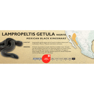 Mexican Black Kingsnake (Lampropeltis getula nigrita) Standard Vivarium Label