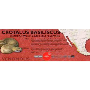 Mexican West Coast Rattlesnake (Crotalus basiliscus) Standard Vivarium Label