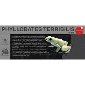 Phyllobates terribilis "Mint" - Black Series Vivarium Label