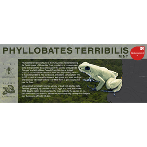 Phyllobates terribilis "Mint" - Black Series Vivarium Label