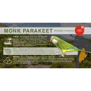 Monk Parakeet (Myiopsitta monachus) - Aluminum Sign