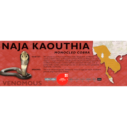 Monocled Cobra (Naja kaouthia) Standard Vivarium Label