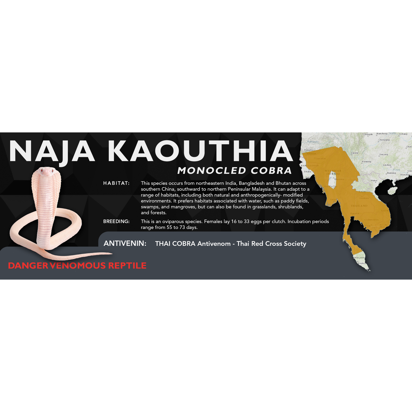 Monocled Cobra (Naja kaouthia) Classic Vivarium Label