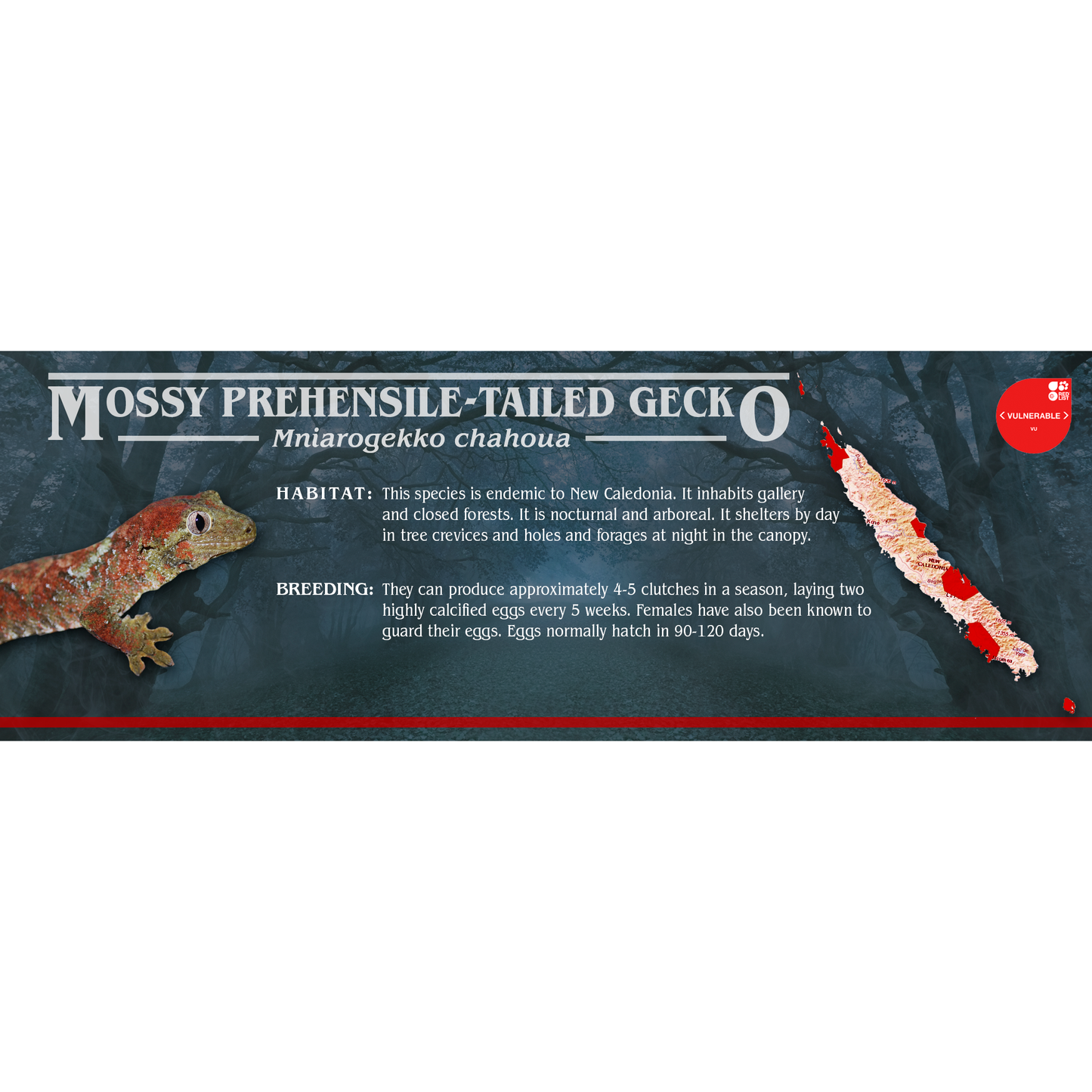 Stranger Species Special Edition Halloween Vivarium Label