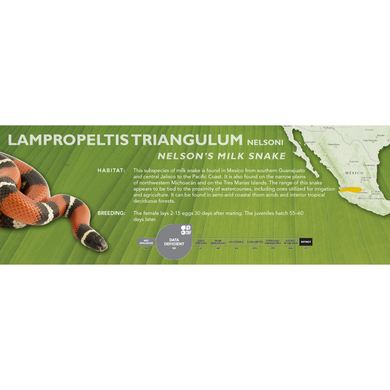 Nelson's Milk Snake (Lampropeltis triangulum nelsoni) Standard Vivarium Label